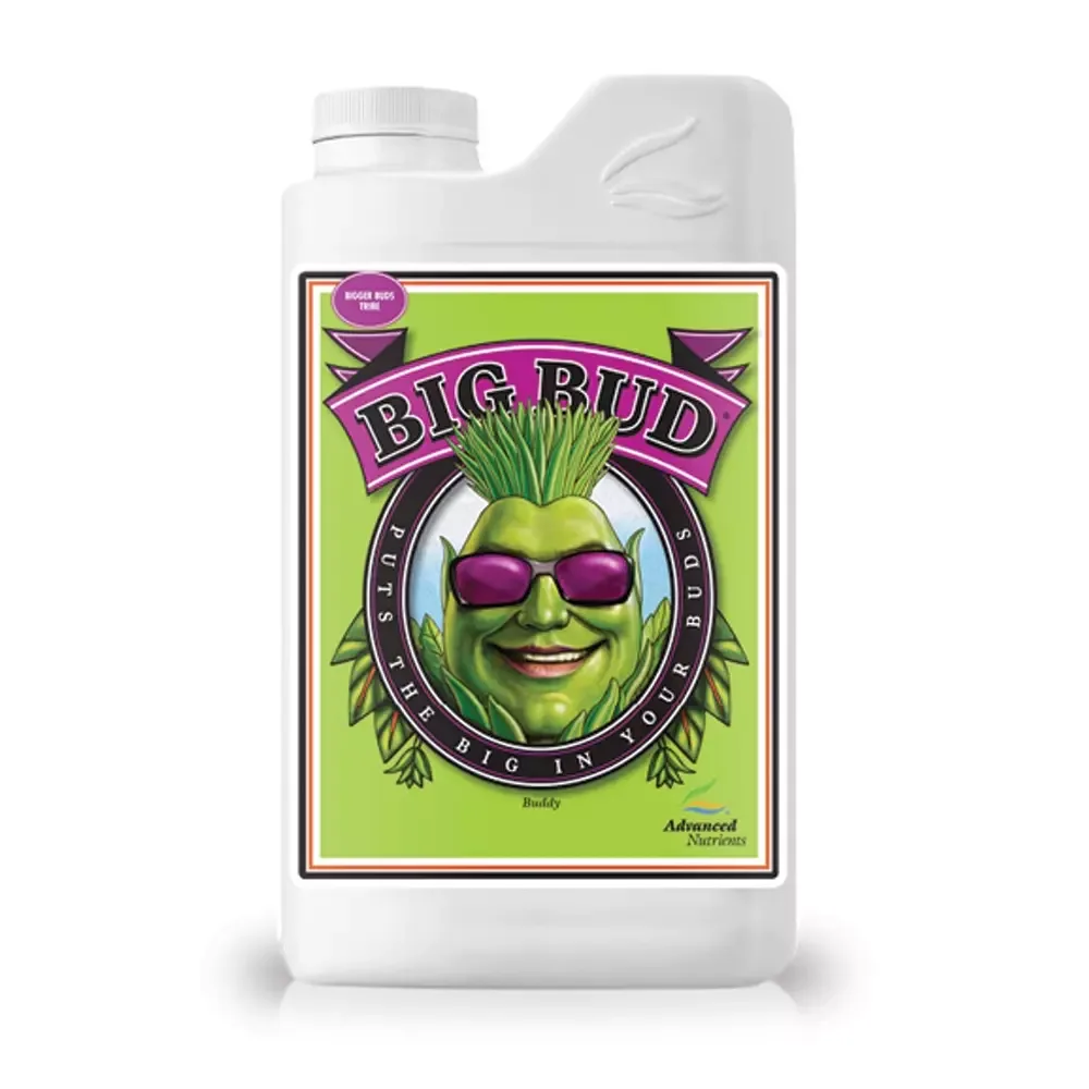 Big Bud - Image 2
