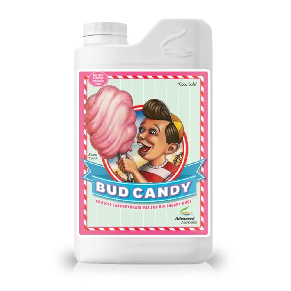 Bud Candy - Image 2