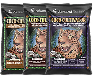 Cultivator Series Bloom