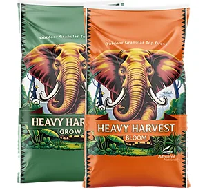 Heavy Harvest Fall