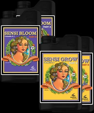 PH Perfect Sensi Bloom A