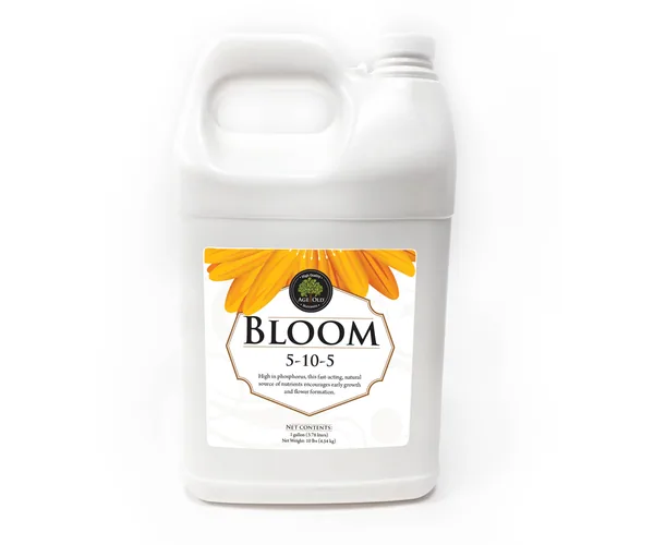 Age Old Bloom, 1 gal