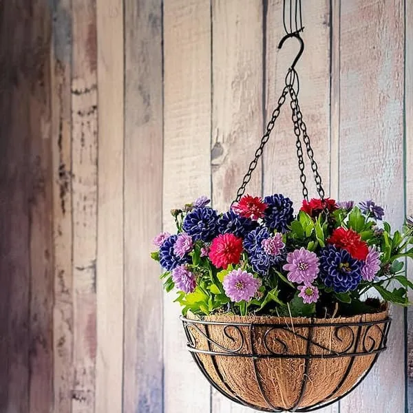 AGW 16" Hanging Basket with Coco Liner and Chain Black