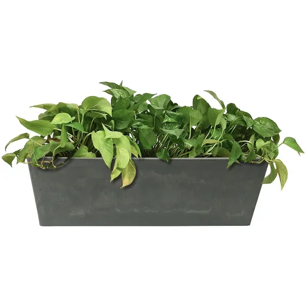 Algreen Valencia 20"x7.5"x7" Window Planter Concrete - Image 2