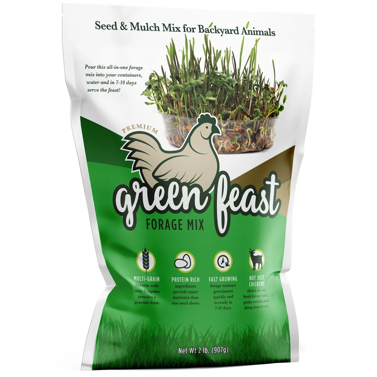 Amturf 2 lbs Green Feast Chicken Forage Seed Mix - Image 2