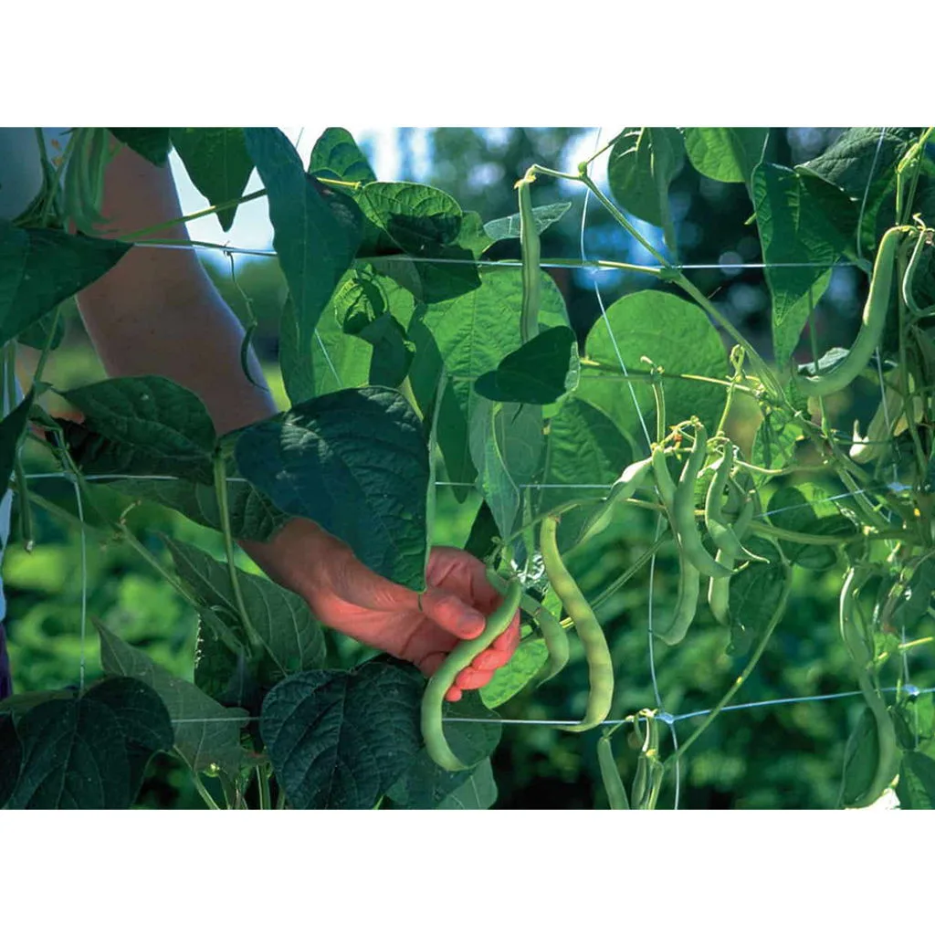 ANF 19"x50' Shrubwrap Net Clear - Image 2