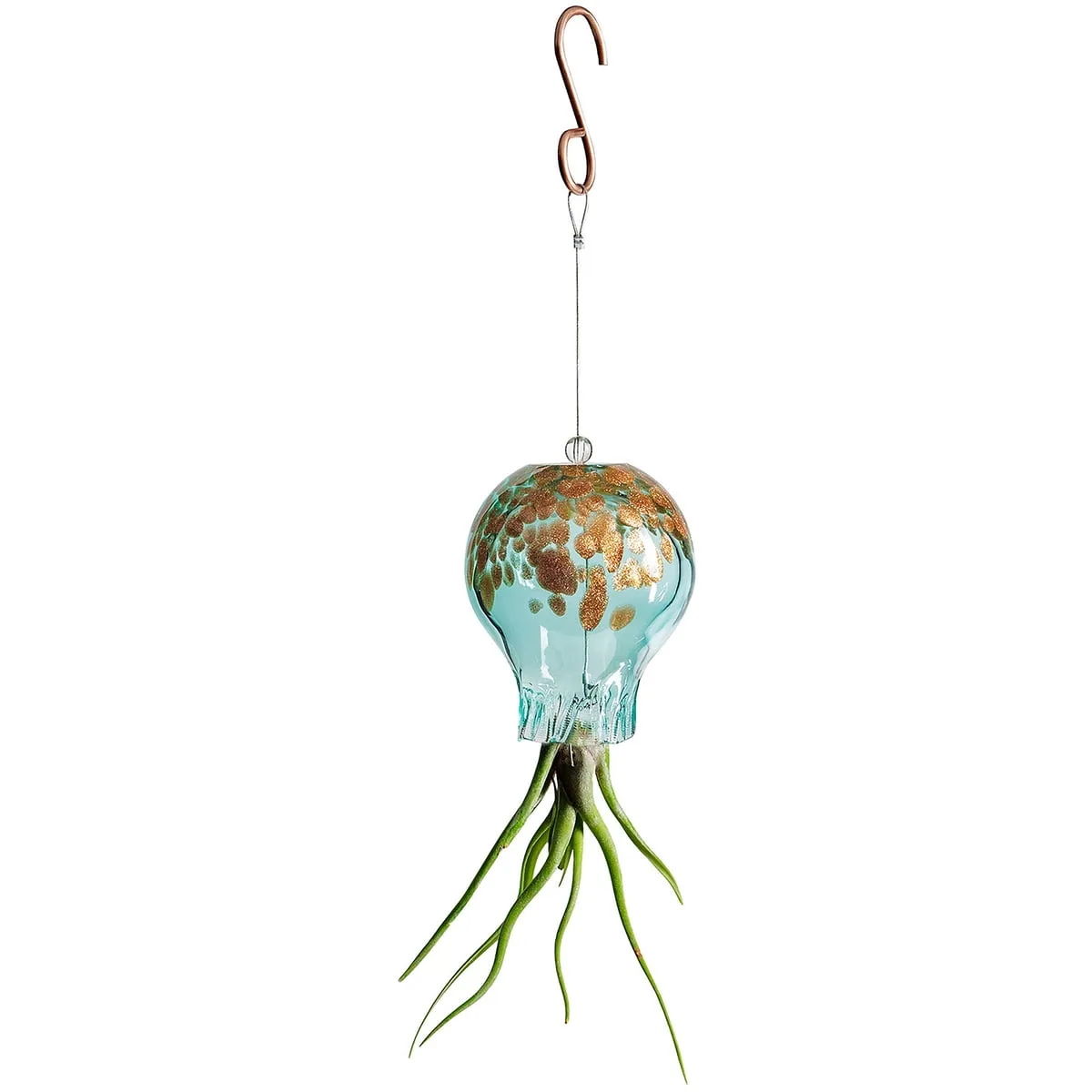APM Air Plant Octopus Lake Green - Image 2