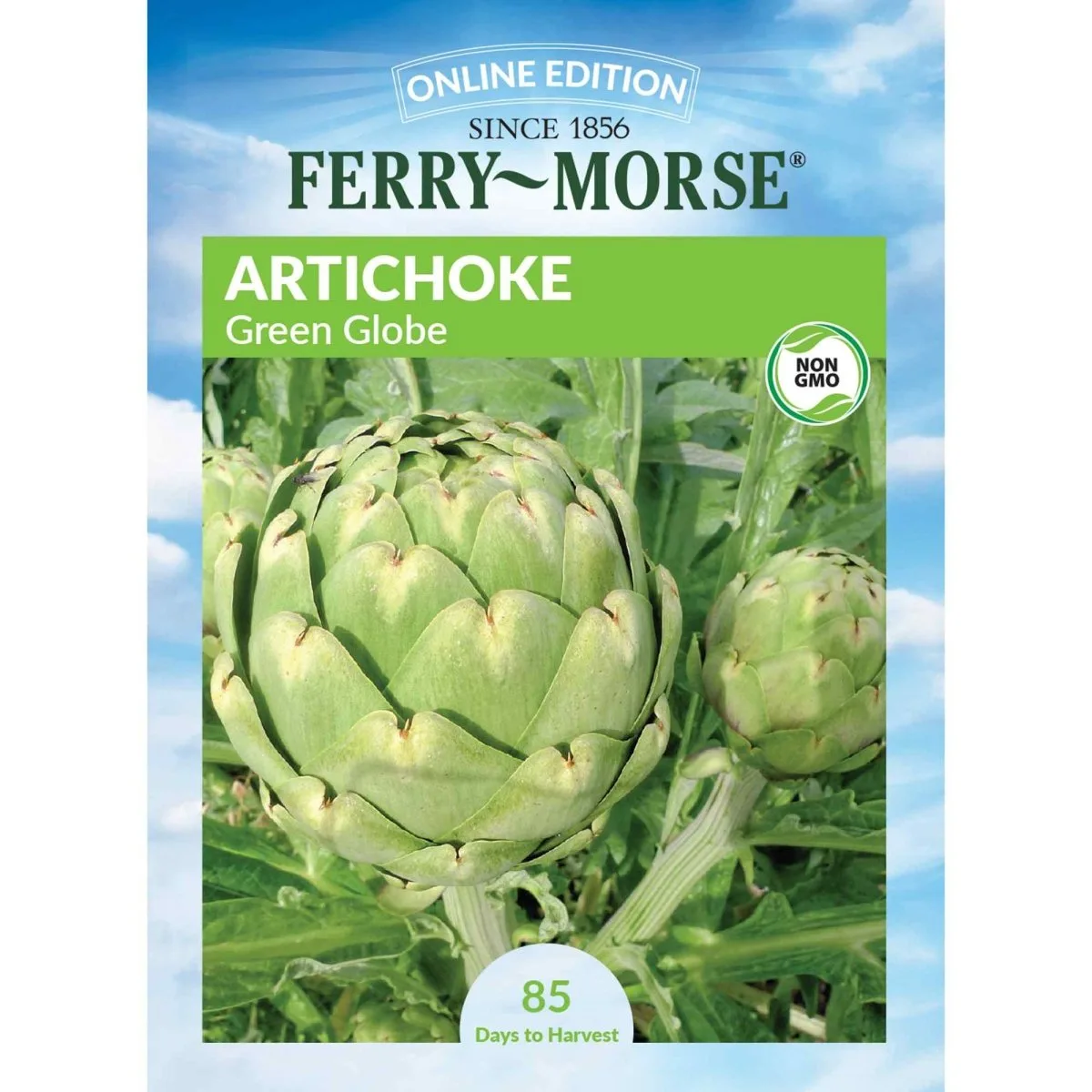 Artichoke, Green Globe 1/2oz - Image 2