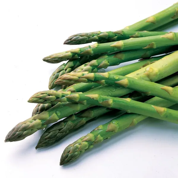 Asparagus, Purple Passion 25 BD - Image 2