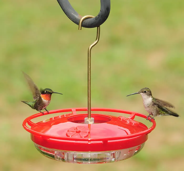 Aspects 8oz HummZinger High View Mini Feeder - Image 2