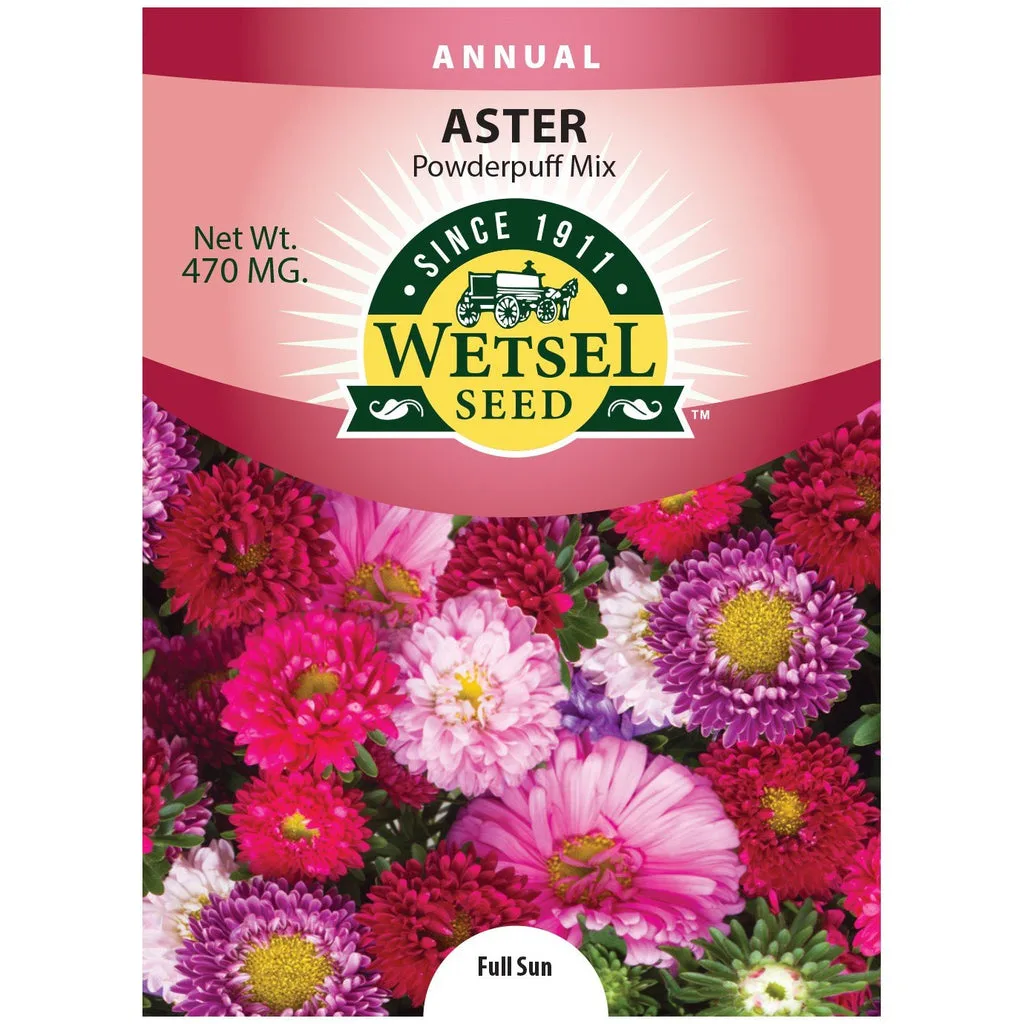 Aster, Powderpuff 470mg - Image 2