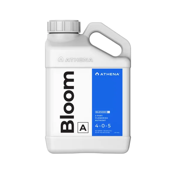 Athena Athena Bloom A