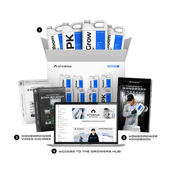 Athena Starter Kit Bundle
