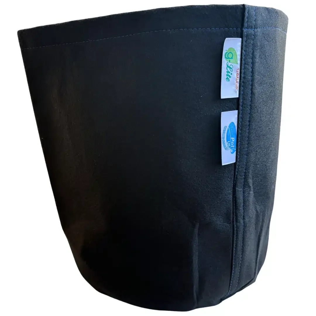 AutoPot GeoPot G Lite 13 gal fabric pot - Image 2