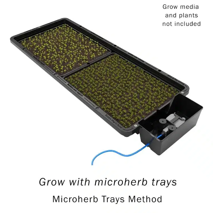 Tray2Grow Microgreens Kit - Image 2