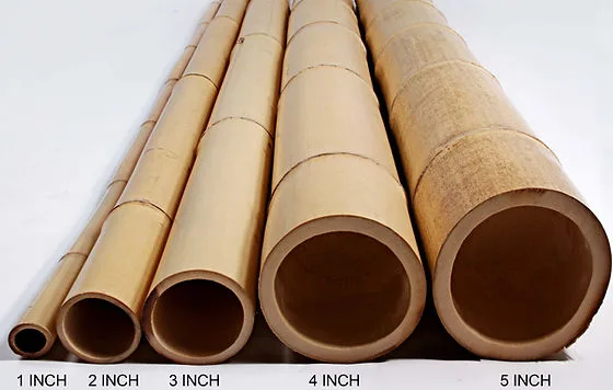 Bamboo Supply 10ft Natural Bamboo Pole, 3-3.5in Diameter (Bundle of 5) - Image 2