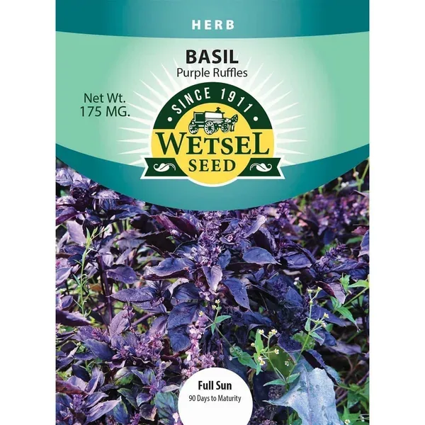 Basil, Purple Ruffles 175mg - Image 2