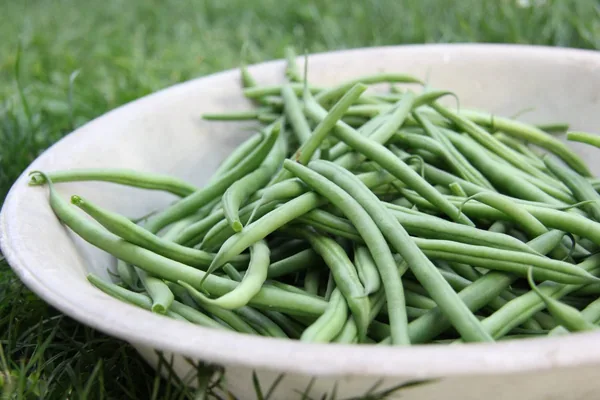 Beans, Kentucky Wonder Wax Pole 1/2lb