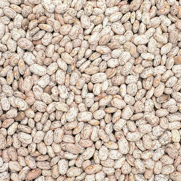 Beans, Pinto 1/2lb - Image 2