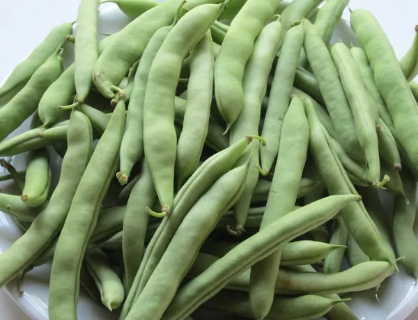 Beans, State Half Runner 1/2lb