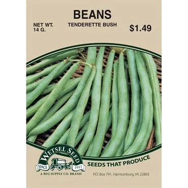 Beans, Tenderette Bush 1/2lb