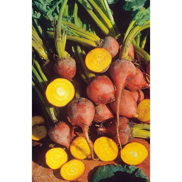 Beets, Golden Detroit 1/2oz - Image 2