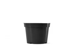 Belden Plastics BLD 06.50 AZ BLK — Case of 300