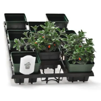 Belden Plastics BLD WEBFIT 4515 TRAY — Case of 30