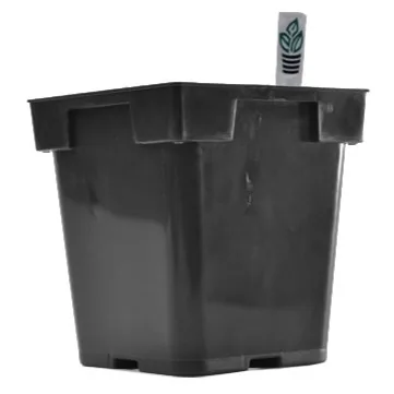 Bld Magnum Sq Blk — Case of 150