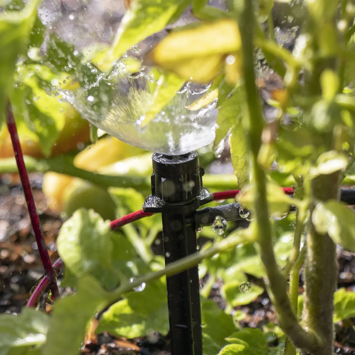 Bond Micro Bubbler on 6"Stake - Image 2