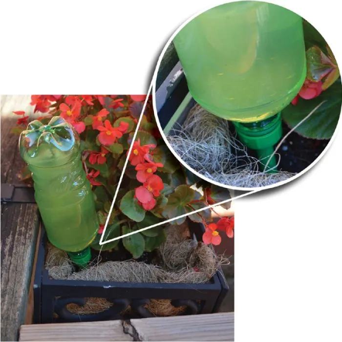 Bosmere Mr. Evergreen Watering Device 2pk - Image 2