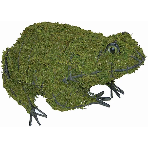 Braun Horticulture Braun 6" Frog Mossed