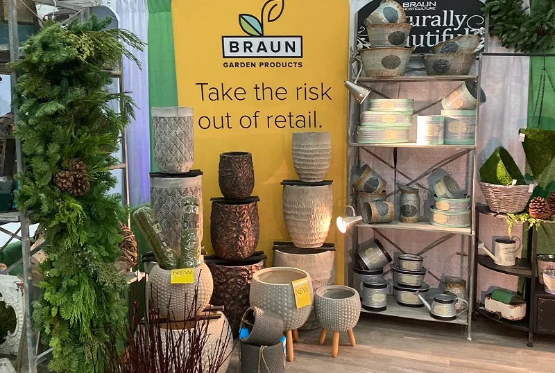 Braun Ned - Image 2