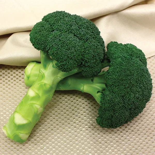 Broccoli, Green Magic 1000 Seed Count