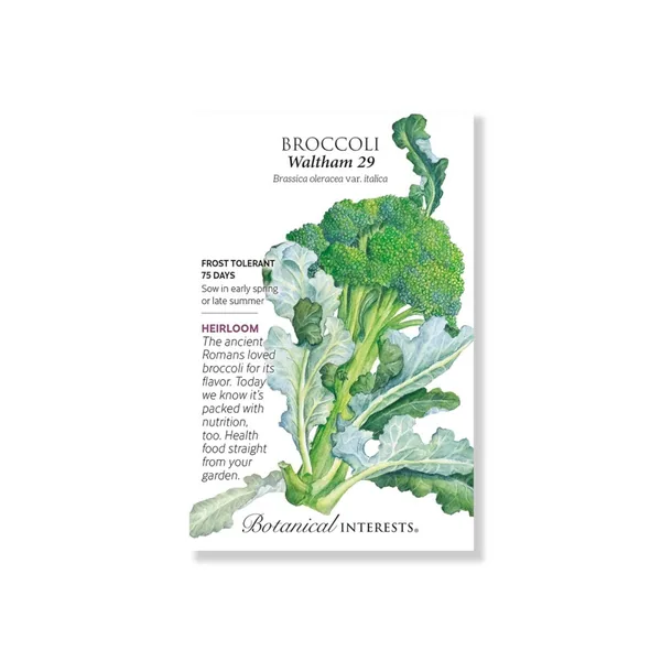 Broccoli, Waltham 1lb