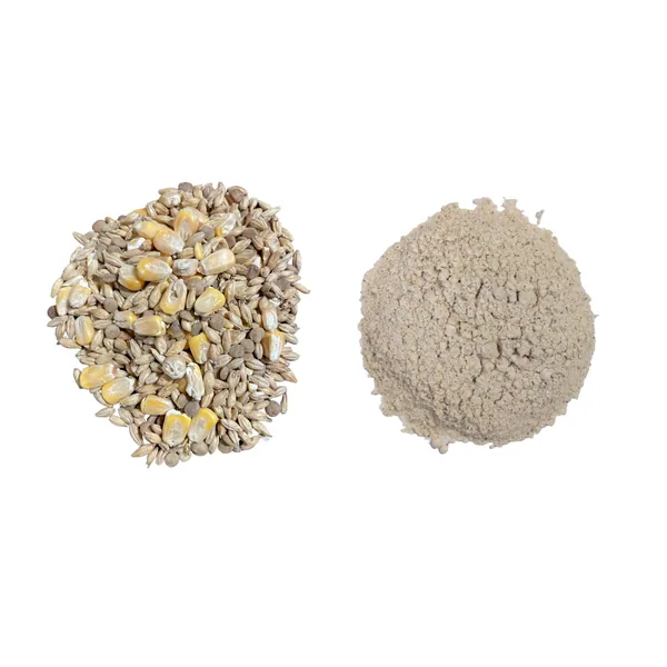 BuildASoil Clackamas Coots Official Gnarly Barley - Artisan Sprouted Seed Blend