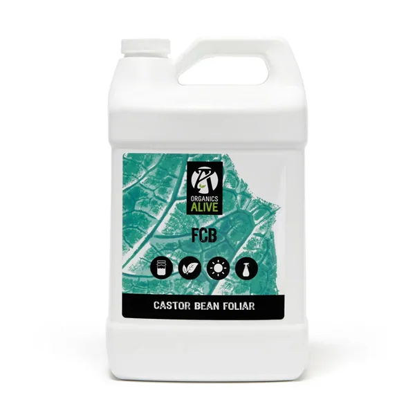 Organics Alive Fermented Castor Bean