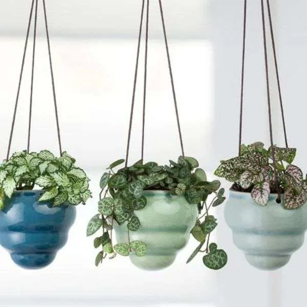 Burgon & Ball Hanging Baby Dotty Trio Vases - Image 2