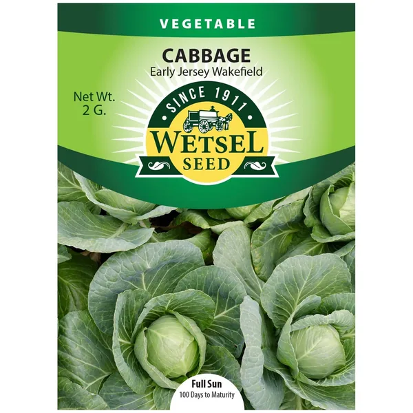 Cabbage, Early Jersey Wakefield 2 Grams