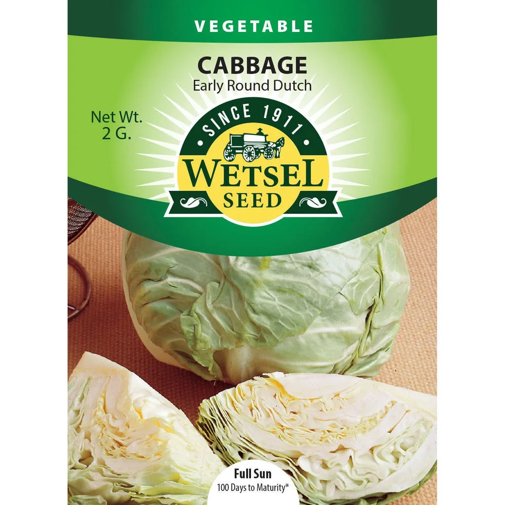 Cabbage, Early Round Dutch 2 Grams - Image 2