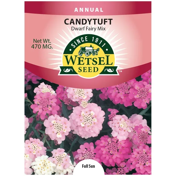 Candytuft, Dwarf Fairy Mix 470mg