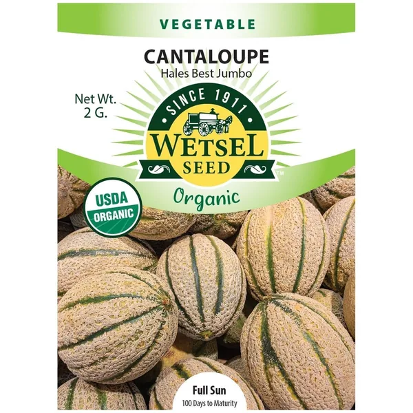 Cantaloupe, Organic Hale Best 2 Grams