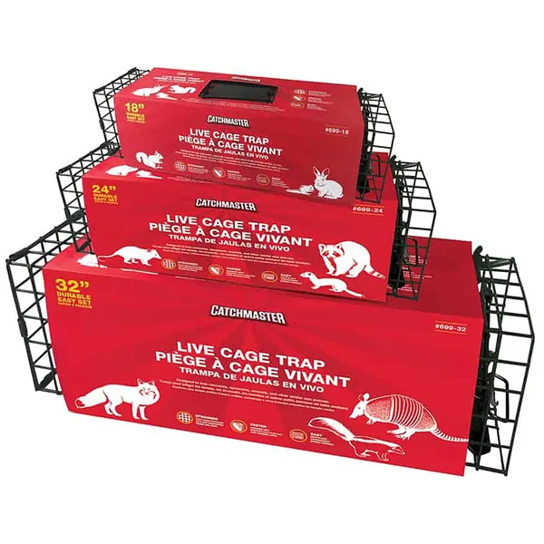 Catchmaster 72pk Pest Identification Sticky Cards Yellow
