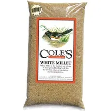Coles Wild Bird Products Coles 20 lbs White Millet Seed MADE IN THE USA