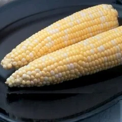 Corn, Ambrosia