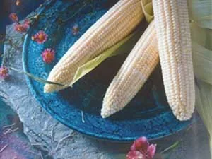 Corn, Argent 1/2lb