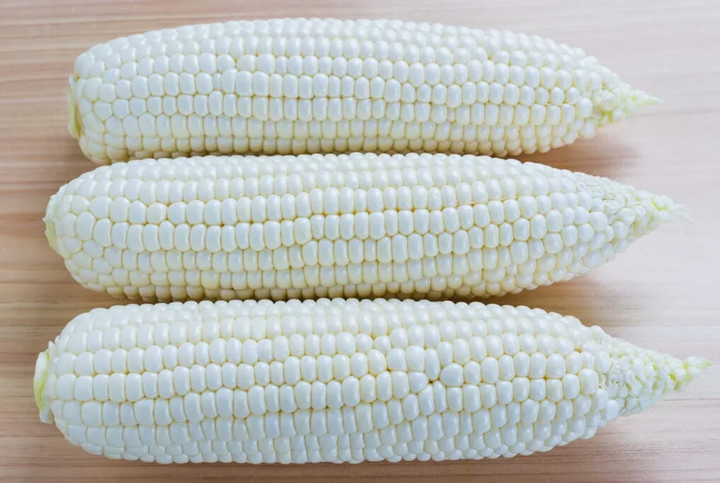 Corn, Argent lbs - Image 2