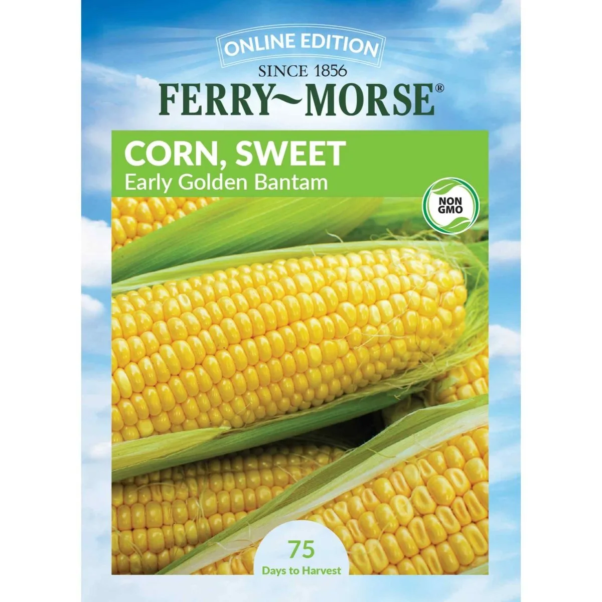 Corn, Early Golden Bantam - Image 2