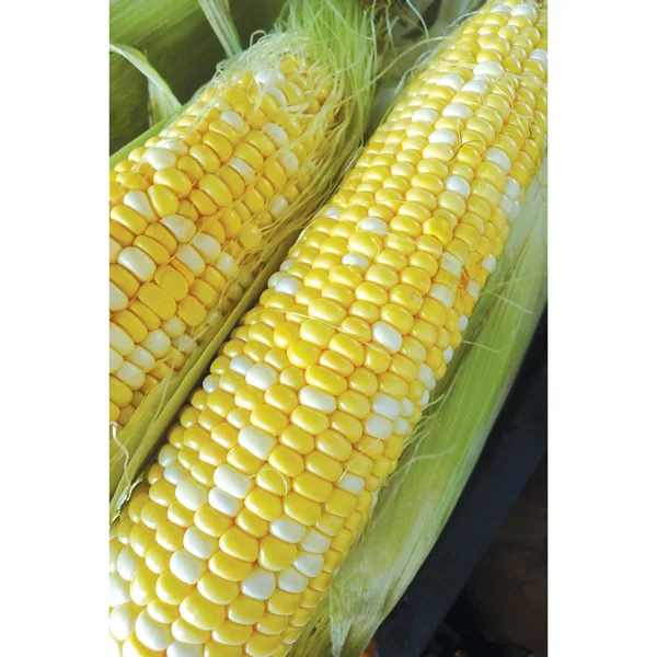 Corn, Honey N Pearl