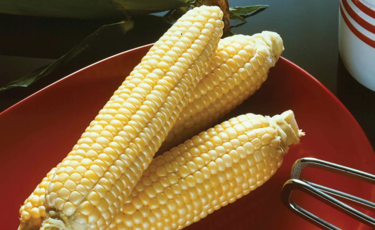 Corn, Sugar Buns Sweet - Image 2